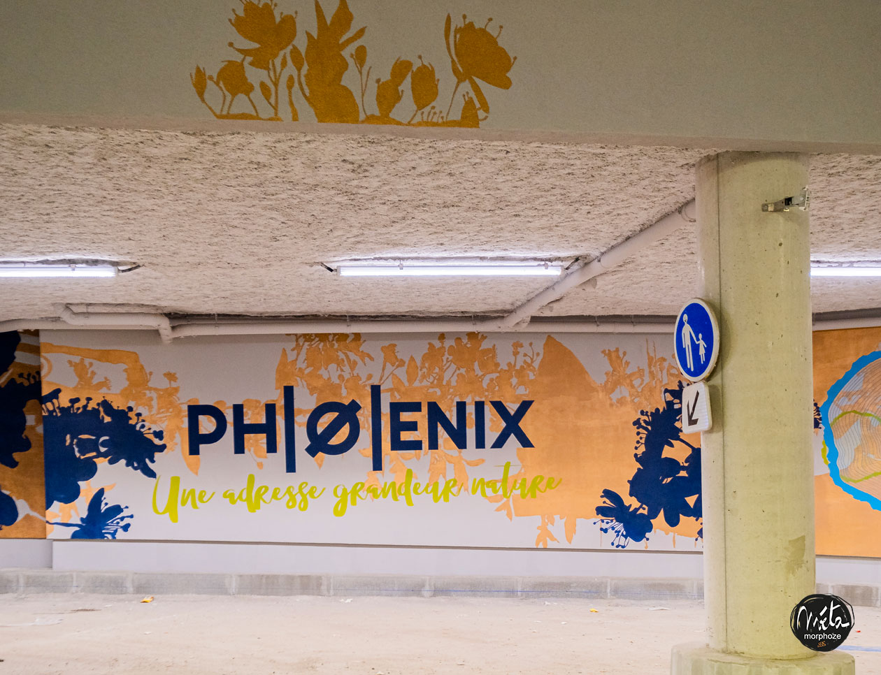 Fresque contemporaine extérieure avec anamorphose pour le parking de la résidence haut de gamme Phoenix